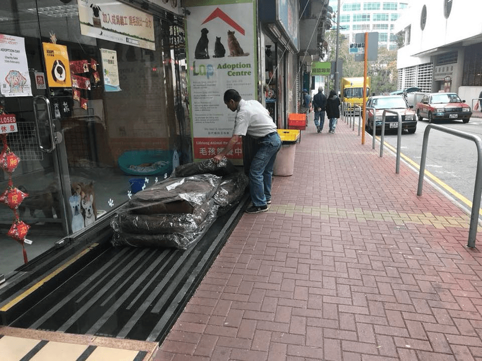 28/2/2018 Dog Bed Donation to Charitys